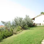 View Kolios