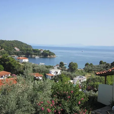 View Kolios