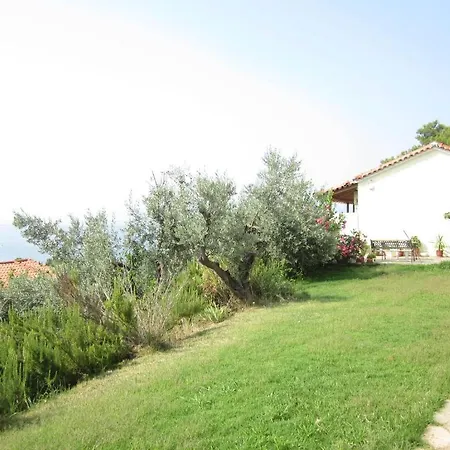 View Kolios